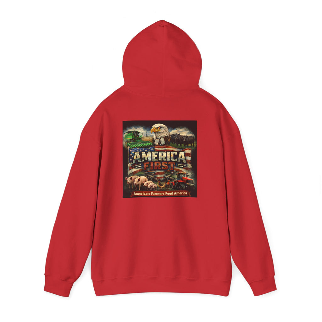 Hoodie - America First Mixed Series